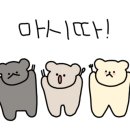 테트리스찜닭 탑동점 네이버블로그