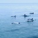 돌산공원길 이미지