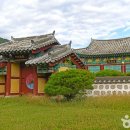 명봉산솔밭관광농원오토캠핑장 이미지