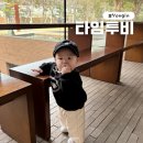 하동수지 | 용인 수지 대형 베이커리 카페 타임투비 아기랑 주말