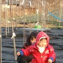 주훈농장 이미지