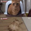 루루농장 이미지