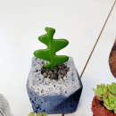 물댄동산 | [울산 힐링원예센터 물댄동산] 도우아트 지도자 과정 참여후기(강사역량강화)
