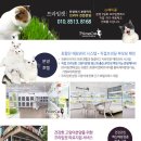 캣누리 Daum카페