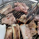 달마백갈비