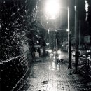 나비(NAVI) 이미지