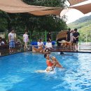 도그파크랜드 이미지