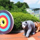 진호국제양궁장 축구장 네이버블로그