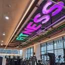 라임레이디 | 라임피트니스 PT 김포장기점! PT 받으며 운동한 후기 PT를 받아야 하는 이유!