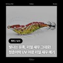 야광기술 | [낚시] 청춘어락 리얼 새우 에기 : 쭈꾸미 갑오징어 잡는 UV야광 에기 후기