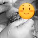 스마일동물의료센터 이미지