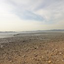 종현어촌마을 이미지