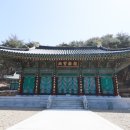 상주 북장사 극락보전 목조아미타여래삼존좌상 이미지