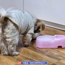 아우디노래타운 - 동래구 온천장로107번길 20 | 아우디노래타운