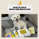 A0113 | 애니마크 써니사이드업 강아지연고 꺼칠한 발패드를 부드럽게