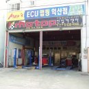 진일카 Daum카페