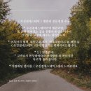 우진겸 에스테틱 이미지