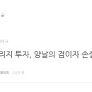 로얄메드 티스토리