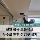 천안용곡초등학교 이미지