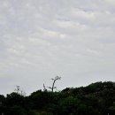 선창가 민박 이미지