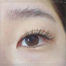 도담동BRT | 씨스타속눈썹 세종속눈썹펌 후기 도담동에서 찾은 인생 속눈썹샵 🌸