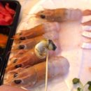 협재살이 | 협재해수욕장 딱새우 고등어회 맛집 옹포횟집 제주한림협재본점 포장후기