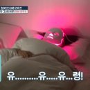 디쎄 이미지