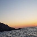 씨프로팜 네이버블로그