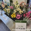 샬롬어린이집 | 군포 24시무인꽃집 졸업식꽃다발예약 생화100% 조각의정원