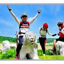 영천체육공원 이미지