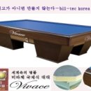 비바체 이미지