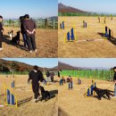 서울재활사 이미지