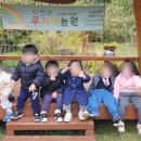 선민농장 이미지