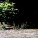 별뜨는밤 | 경북 안동 수애당 가족여행 한옥 숙소 가성비 조식 주차 고양이 별 화장실 샤워실 내돈내산 후기