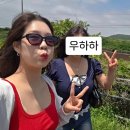 천지연크리스탈호텔 | 세모, 난드르바당, 용눈이오름, 안친오름, 연돈, 구옥주택, 킨조베이커리, 아베베 케이커리, 천지연폭포)