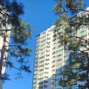 삼산공인중개사사무소 이미지