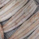 맛장어먹는날 이미지