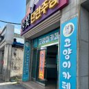 아이캣유 | 익산 고양이 카페 아이캣유 방문 후기