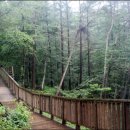 현대스파 이미지