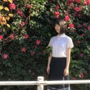 미나미 이미지