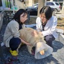 경북대동물병원 이미지