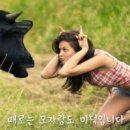 미덕 이미지