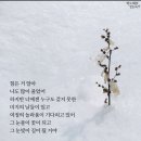 프로젝트36