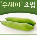 수세미 효능 및 부작용 이미지