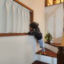 딸부자집 펜션 이미지