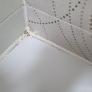 분당-138 이미지