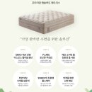1243 | 금성침대 대구 매트리스 전문점 [ 신경주 유보라 아이비 파크 ] KS1243 앱솔루트