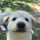 천일농장 이미지