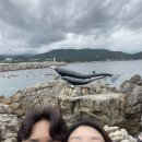 명품수제어묵고로케 이미지
