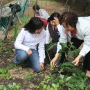 집 비울 때 이웃에 키 맡기고 아이들 돌봐줘… 안전 걱정 ‘NO’ 이미지